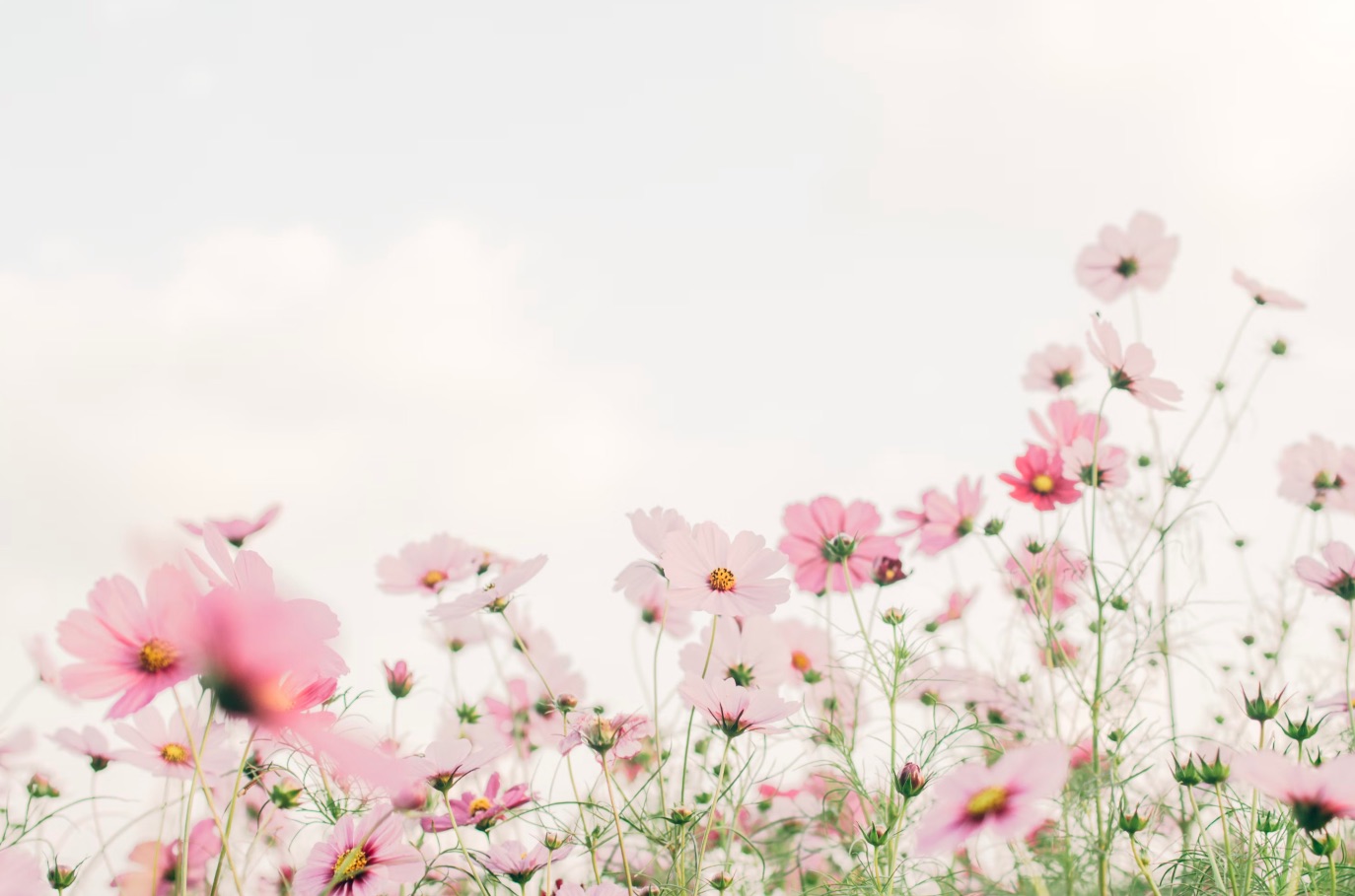 Flowers Funeral