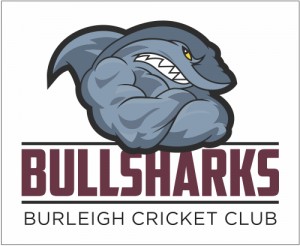 Bullsharks Logo Concept Colour White Background 300x246